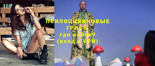 ECSTASY Белокуриха