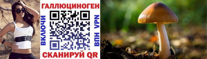 Псилоцибиновые грибы ЛСД  ОМГ ОМГ ТОР  Новая Ляля 